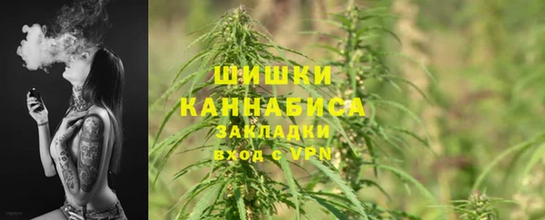 ECSTASY Бронницы